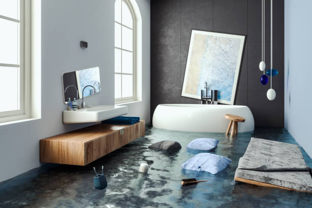 Best Basement water damage restoration  in California, MO