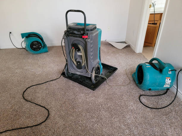 Best Flood damage cleanup  in California, MO