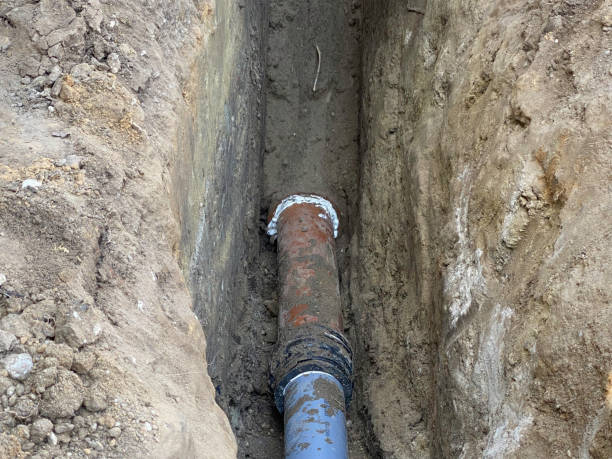 Best Sewage cleanup and water damage restoration  in California, MO