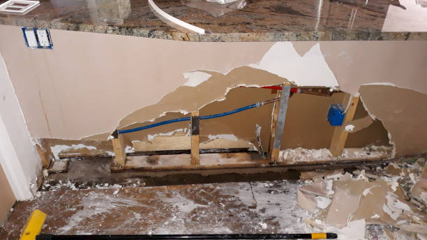 Best 24/7 water damage repair  in California, MO