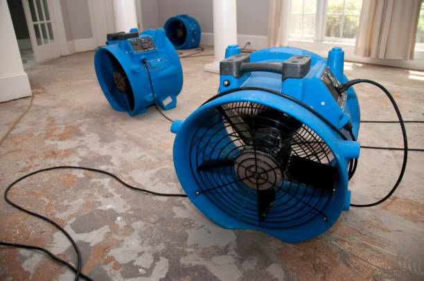 Best Emergency water damage restoration  in California, MO