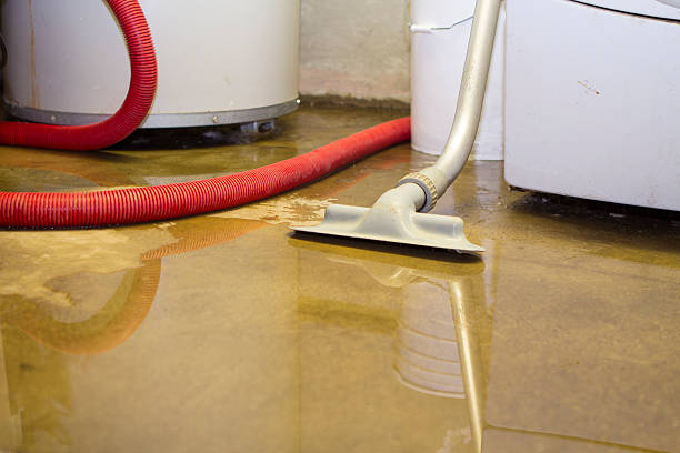 Best Fire Damage Restoration  in California, MO