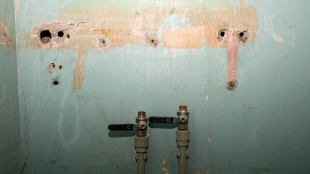 Best Flooded house restoration  in California, MO