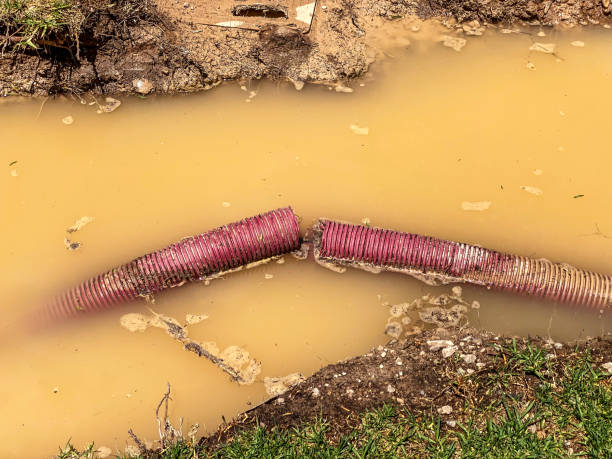 Best Water damage restoration process  in California, MO
