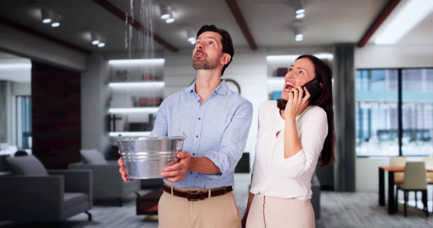 Best Local water damage restoration  in California, MO