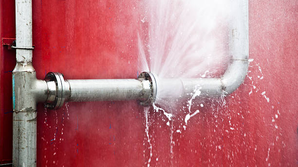 Best Carpet water damage restoration  in California, MO